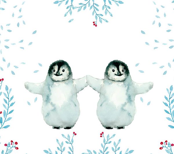 razões para amar o inverno, pinguim