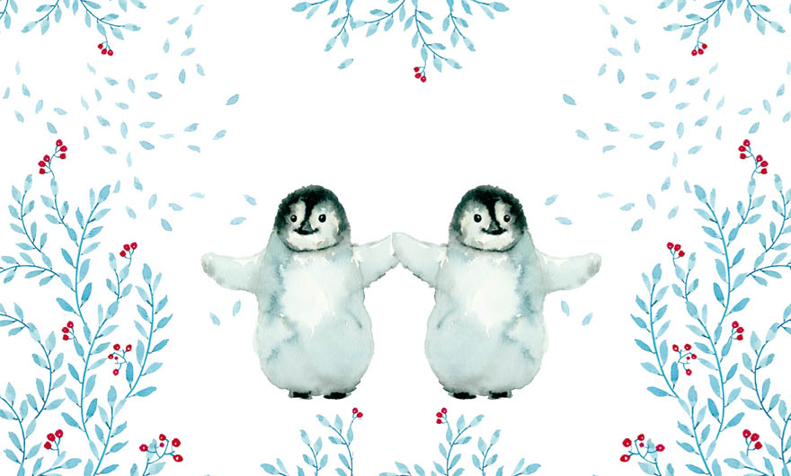 razões para amar o inverno, pinguim