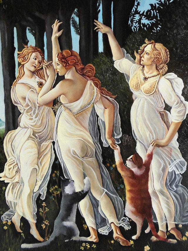 O mito da beleza e a cirurgia bariátrica
