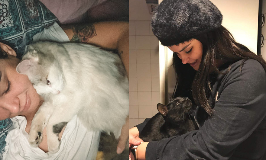 Como eu perdi o medo de gato